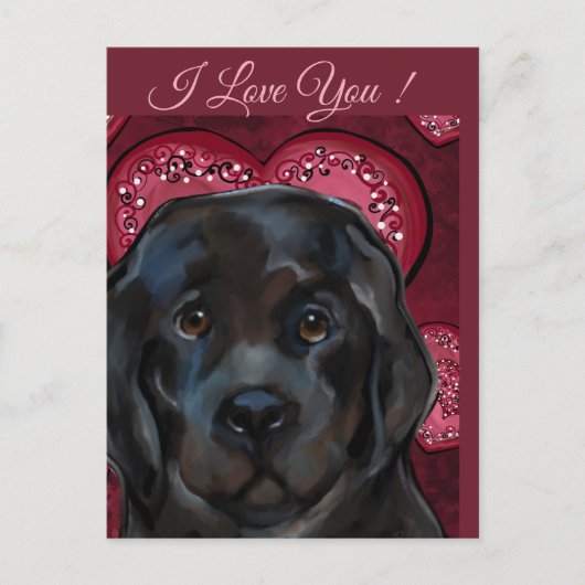 Neufundländer Hund Postkarte (Vorderseite)