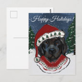 Neufundländer Hund   Postkarte (Vorne/Hinten)