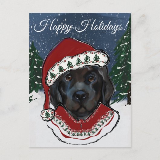 Neufundländer Hund   Postkarte (Vorderseite)