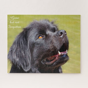 Neufundländer Hund. Puzzle