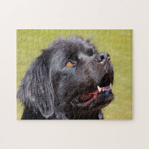Neufundländer Hund. Puzzle