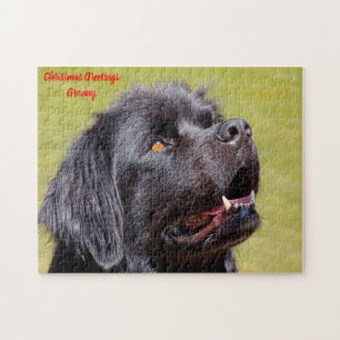 Neufundländer Hund. Puzzle
