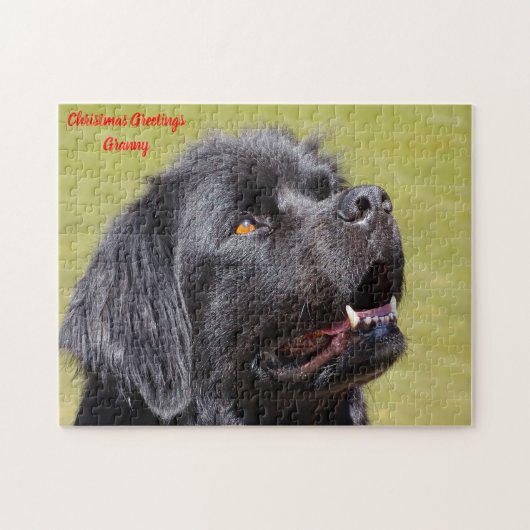 Neufundländer Hund. Puzzle (Horizontal)