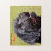 Neufundländer Hund. Puzzle (Vertikal)