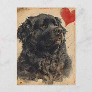 Neufundländer-Hund Valentinstag im Vintage-Stil Postkarte