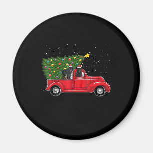 Neufundländer Hund Weihnachten Auf Rotem Auto LKW Magnet