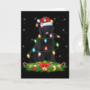 Neufundländer-Hund Weihnachtsbeleuchtung Lustiger Karte