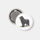Neufundländer Magnet (Vorderseite/Rückseite)