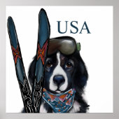 NEUFUNDLÄNDER  POSTER (Vorne)