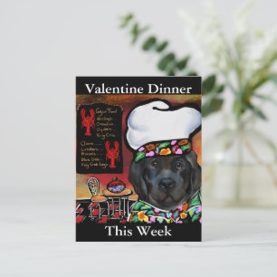 Neufundländer                 postkarte