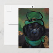 Neufundländer     postkarte (Vorne/Hinten)