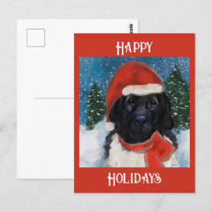 Neufundländer Postkarte