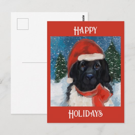Neufundländer Postkarte (Vorne/Hinten)