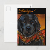 Neufundländer Postkarte (Vorne/Hinten)