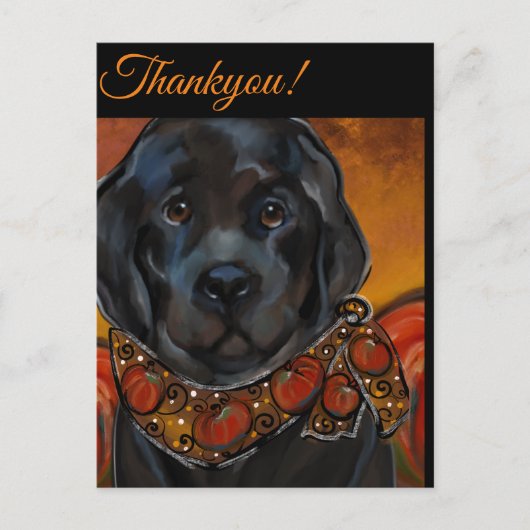 Neufundländer Postkarte (Vorderseite)