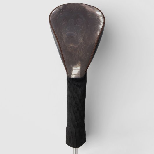 Neufundländer Schlammiger Welpe Golf Headcover (Vorderseite)