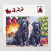 Neufundländer-Weihnachtskarte Feiertagskarte (Vorne/Hinten)