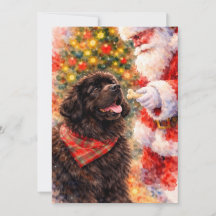 Neufundländer-Weihnachtskarte - Mit Weihnachtsmann