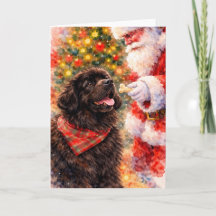 Neufundländer-Weihnachtskarte - Mit Weihnachtsmann