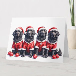 Neufundländer-Weihnachtskleid Santa-Hut Karte