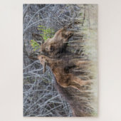 Neugeborene Elchenkalf Nuzzy ihre Mutter Puzzle (Vertikal)