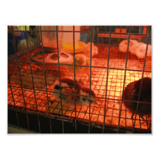 Neugeborene Kind-Kick im Inkubator Fotodruck