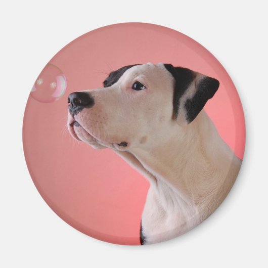 Neugeborene Magnet (Vorne)