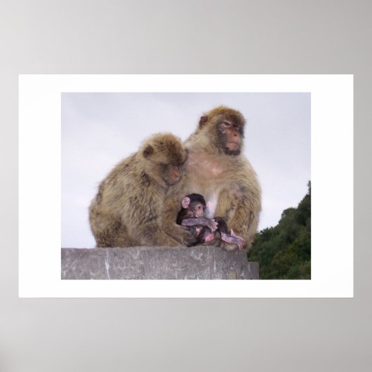 Neugeborene Poster (Vorne)