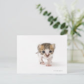 Neugeborene Postkarte (Stehend Vorderseite)