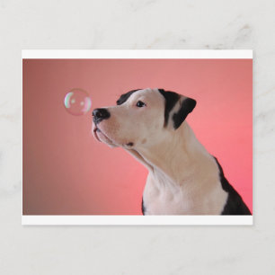 Neugeborene Postkarte