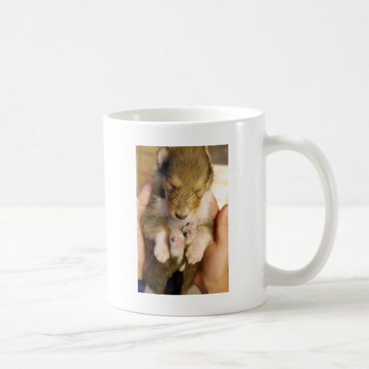 Neugeborener Collie-Welpe Kaffeetasse (Rechts)