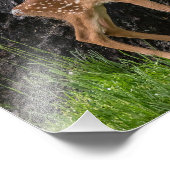 Neugeborener Vater Fotodruck (Ecke)