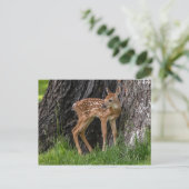 Neugeborener Vater Postkarte (Stehend Vorderseite)