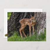 Neugeborener Vater Postkarte (Vorne/Hinten)