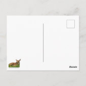 Neugeborener Vater Postkarte (Rückseite)