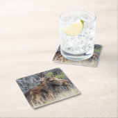 Neugeborenes Elchenkalf Nuzzling seine Mutter Rechteckiger Pappuntersetzer (Vor Ort)