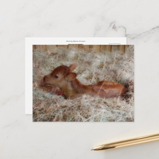 Neugeborenes im Strohhalm, Brauch Postkarte (Vorderseite/Rückseite Beispiel)