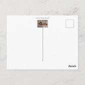 Neugeborenes im Strohhalm, Brauch Postkarte (Rückseite)