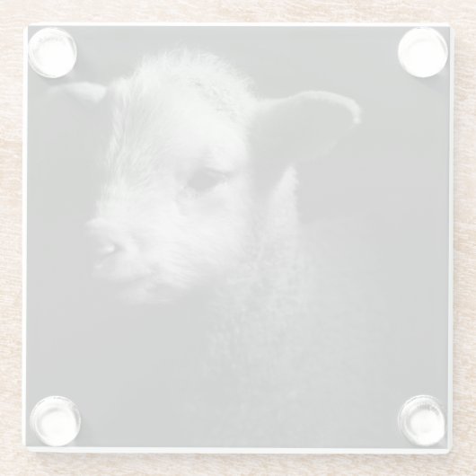 Neugeborenes Lamm Glasuntersetzer (Rückseite)