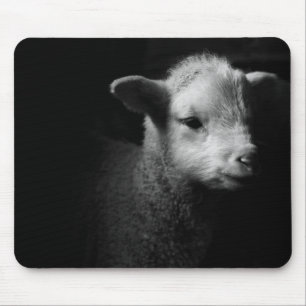 Neugeborenes Lamm Mousepad