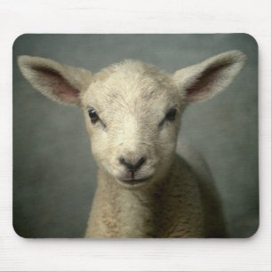 Neugeborenes Lamm Mousepad