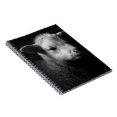 Neugeborenes Lamm Notizblock (Rechte Seite)