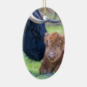 Neugeborenes schottisches Hochländerkalb mit Keramikornament (Rechts)