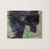 Neugeborenes schwarzes schottisches puzzle (Horizontal)
