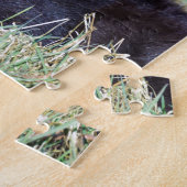 Neugeborenes schwarzes schottisches puzzle (Seite)