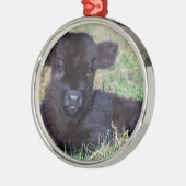 Neugeborenes schwarzes schottisches silbernes ornament (Links)