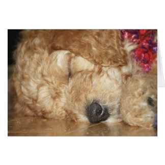 Neugeborenes Series-02