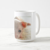Neugeborenes Sphinxkätzchen Kaffeetasse (VorderseiteRechts)