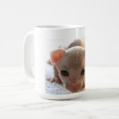Neugeborenes Sphinxkätzchen Kaffeetasse (Vorderseite Links)