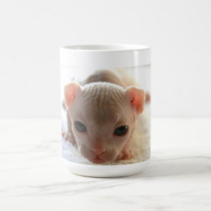 Neugeborenes Sphinxkätzchen Kaffeetasse